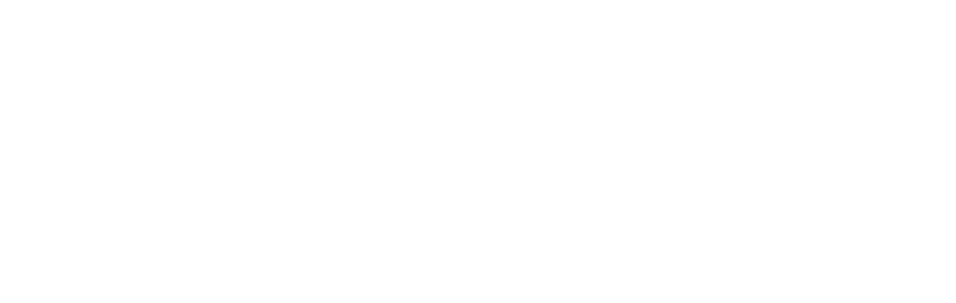 Executive Connect (1)